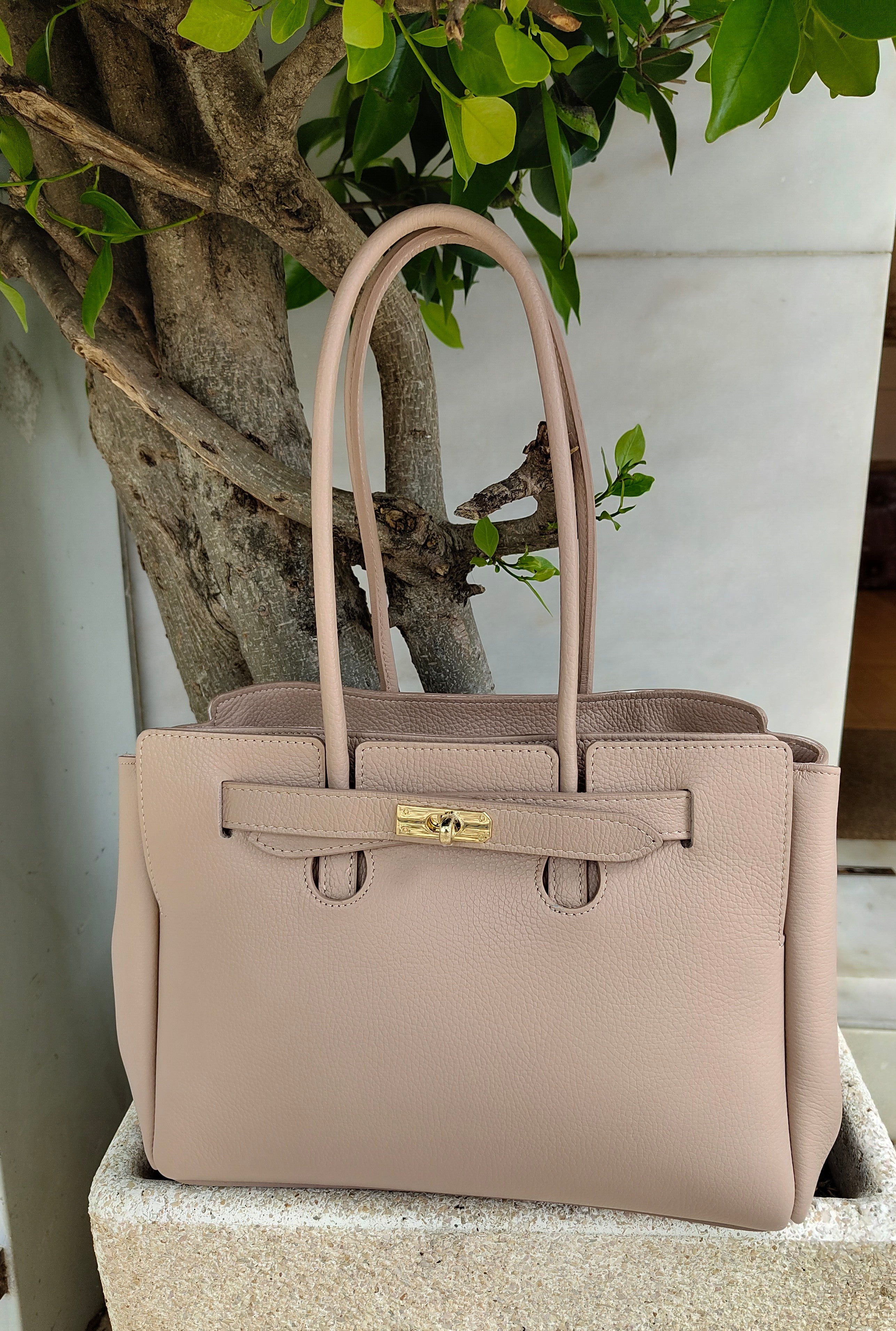 Mala Nude modelo birkin