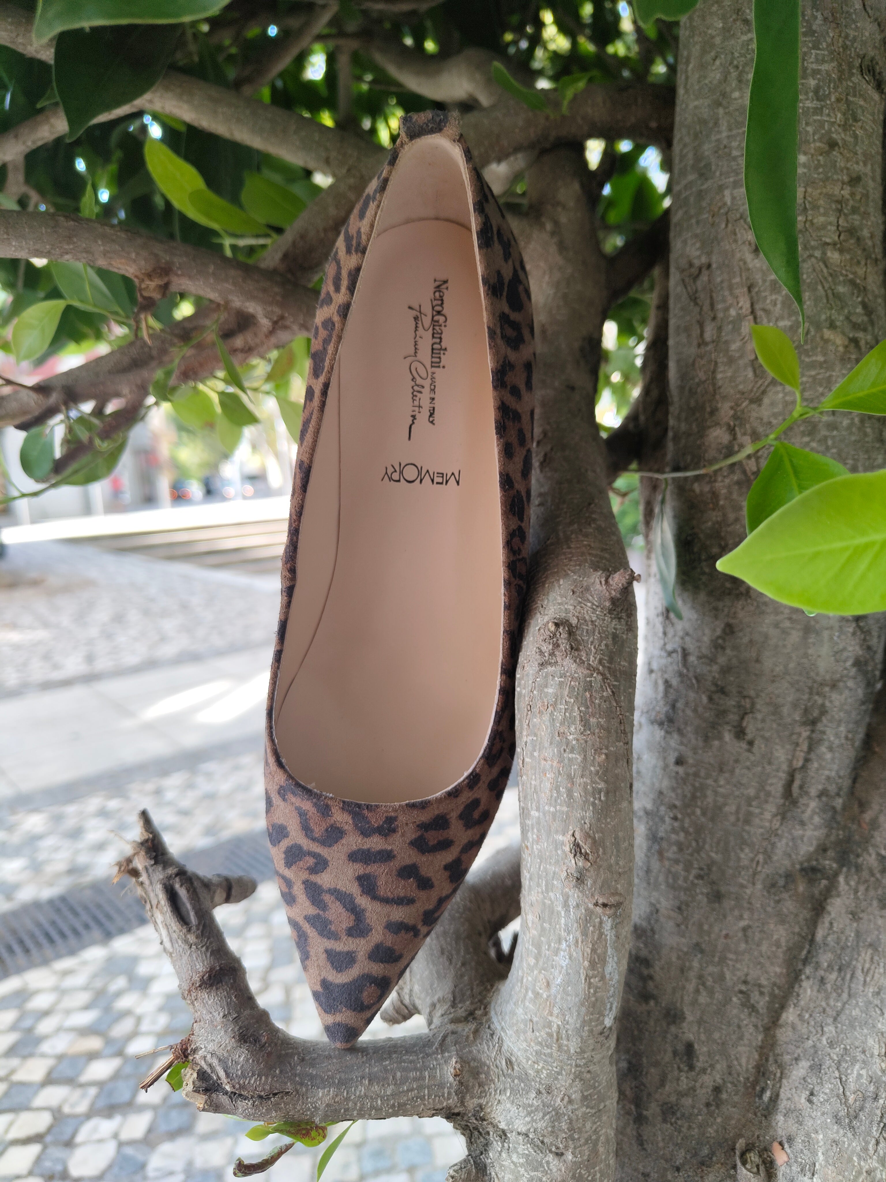 Sapato Leopardo Nero Giardini /25