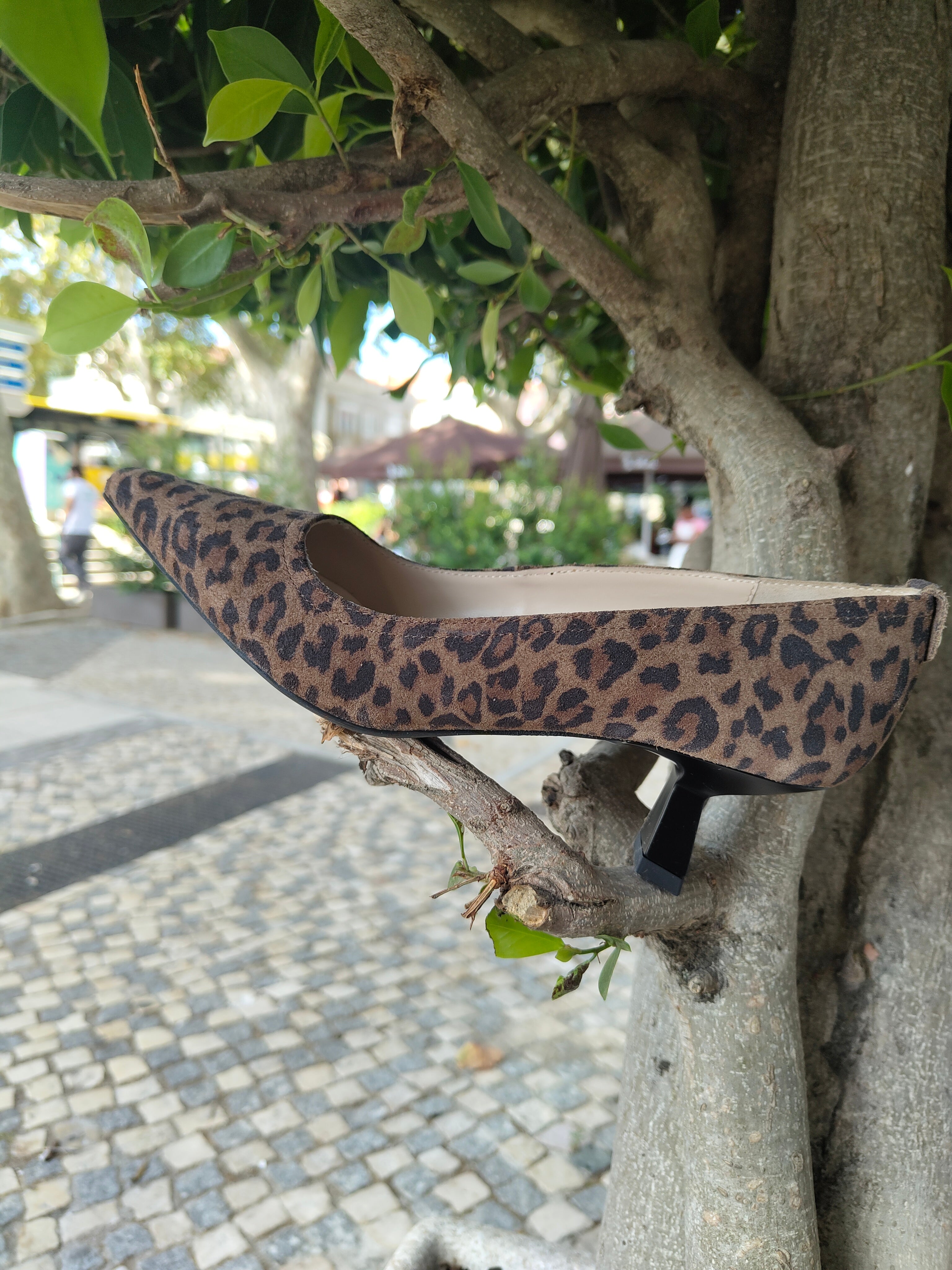 Sapato Leopardo Nero Giardini /25