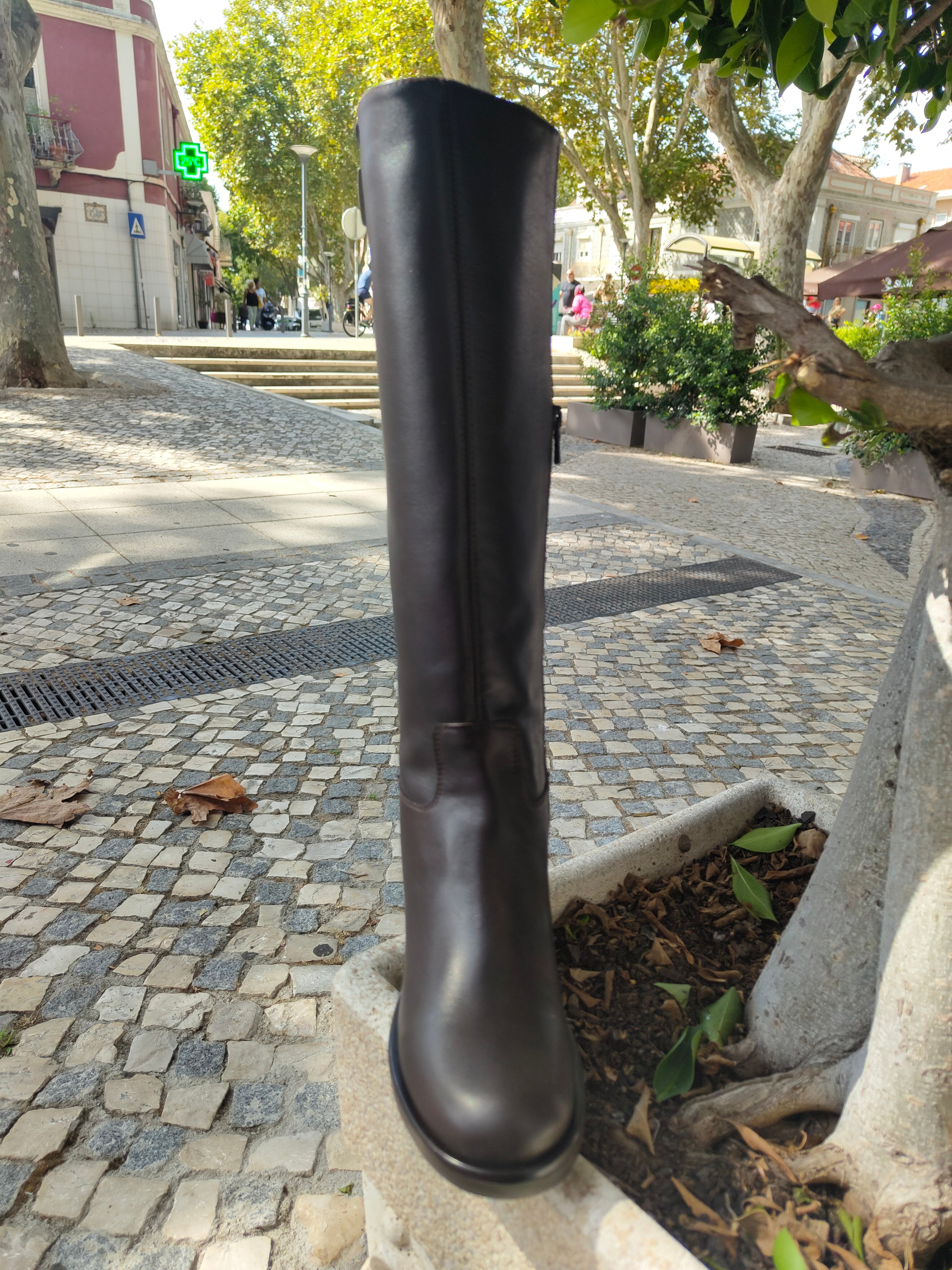 Bota cano alto Nero Giardini /25