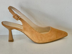 Sapato mel Lodi